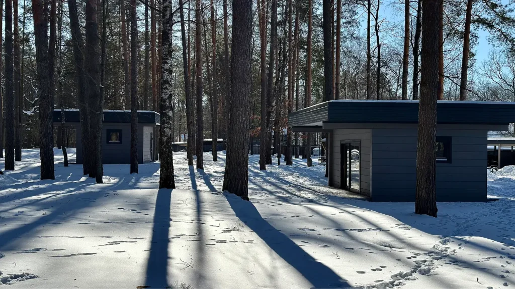 территория (8)